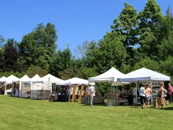 Usos de las carpas de exposición